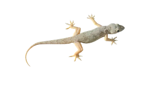 1000071177.png