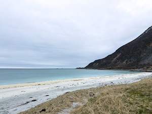 21344525778715262_img_1581.jpg