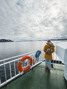 2537712583214593_img_7082.jpg