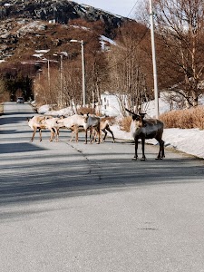 3387629975455231_img_1778.jpg