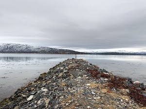 34695625042958755_img_1626.jpg