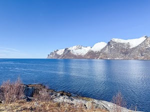 5461568312044864_img_1467.jpg