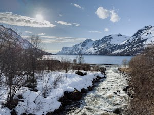 5551303482545129_img_1784.jpg