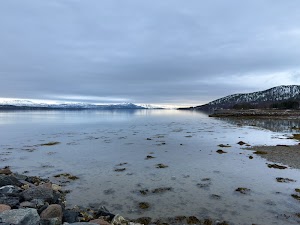7515085108388895_img_1610.jpg