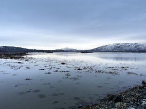 7680645897316536_img_1607.jpg