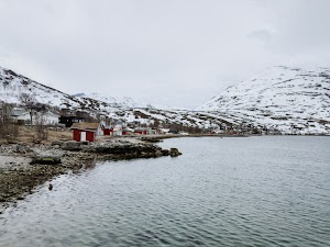 8211397473717112_img_1799.jpg