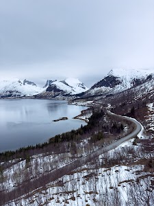 8470735105914171_img_1595.jpg