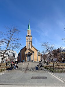 7843624809651182_img_1104.jpg