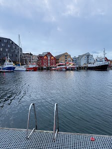 9298017892878305_img_1143.jpg