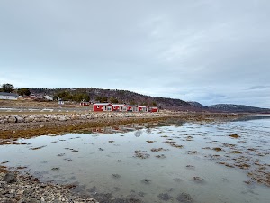 9208541766243667_img_7500.jpg