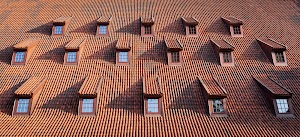 traditional-roof-with-windows-covered-by-ceramic-t-2024-10-30-21-40-52-utc.jpg
