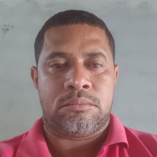 Encarregado de linha viva