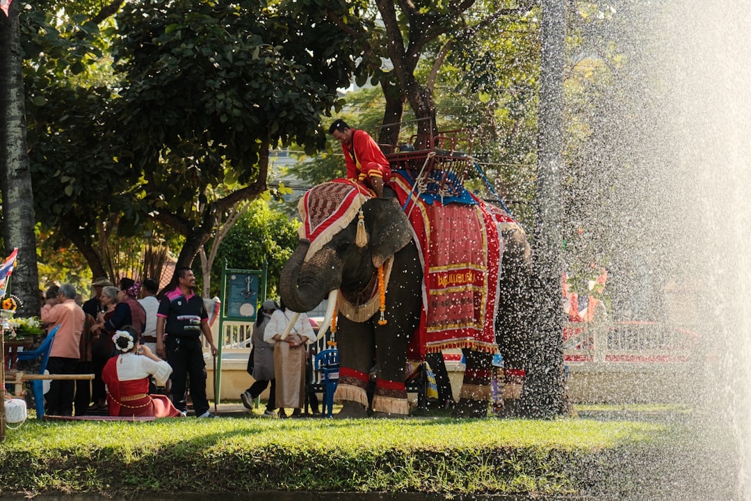 Chiang Mai regular