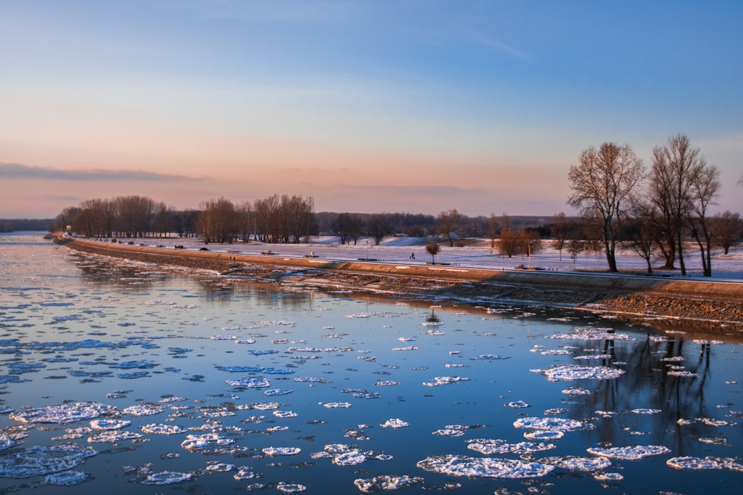 Osijek regular