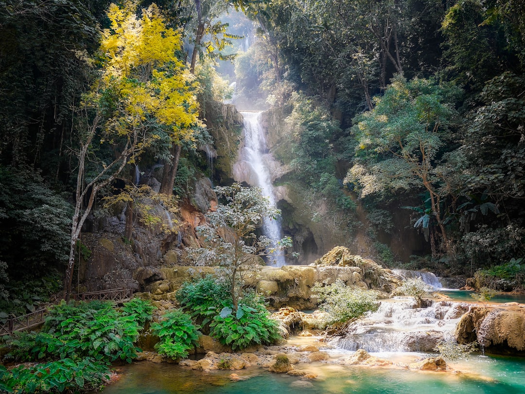 Vang Vieng regular