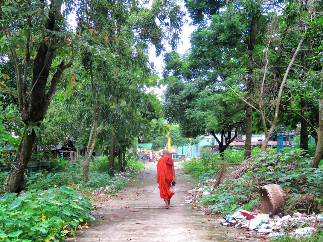 Yangon regular