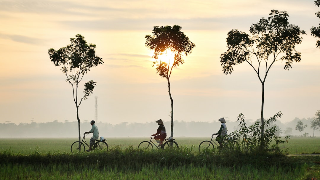 Yogyakarta regular