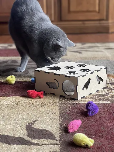 Wooden Cat Puzzle Box Medium - Image 1