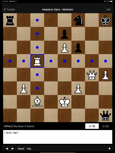 Chess Puzzles: World Champions - Image 1
