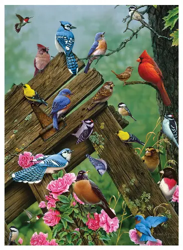 Cobble Hill Birds of the Forest 1000 Piece Jigsaw Puzzle - Image 1