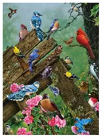 Cobble Hill Birds of the Forest 1000 Piece Jigsaw Puzzle