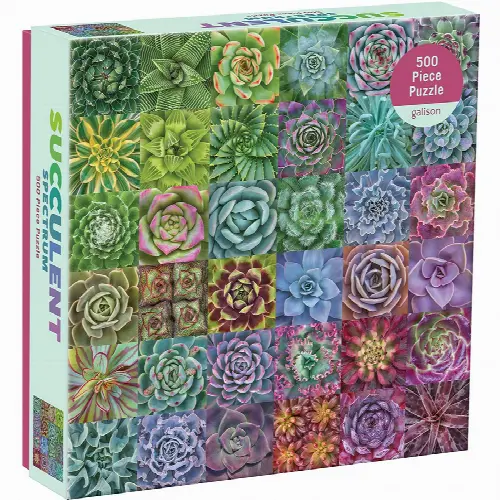 500 Piece Puzzle - Succulent Spectrum - Image 1