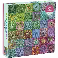 500 Piece Puzzle - Succulent Spectrum