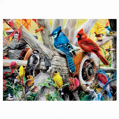 Backyard Birds 1000 pc Puzzle - Image 1