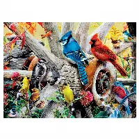 Backyard Birds 1000 pc Puzzle