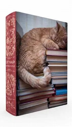 Cat Nap Book Box Puzzle - 1000 pc - Image 1
