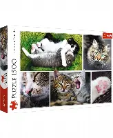 Jigsaw Puzzle Just Cat Things Collage, 1500 Piece