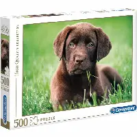 Chocolate Puppy | Jigsaw