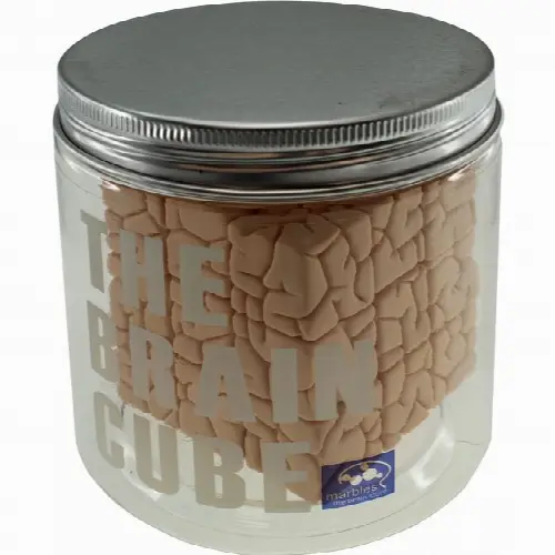 The Brain Cube in Bottle Packaging (Wong Mod - Image 1