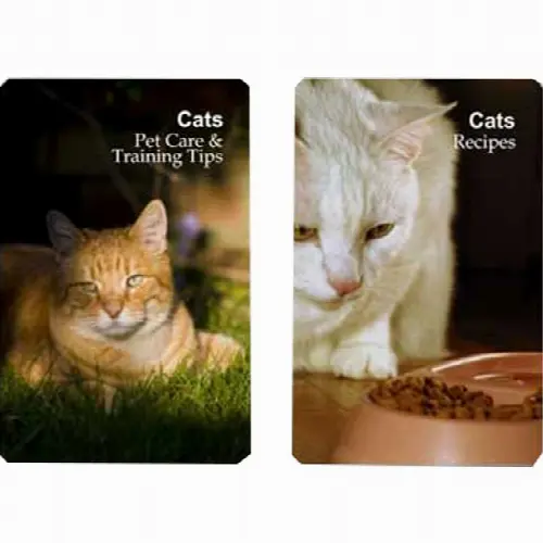 Playing Cards - Cat Pet Care/Training Tips and Recipes - Image 1