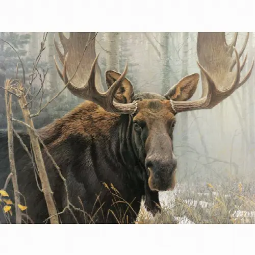 Bull Moose - Large Piece | Jigsaw - Image 1