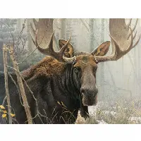 Bull Moose - Large Piece | Jigsaw