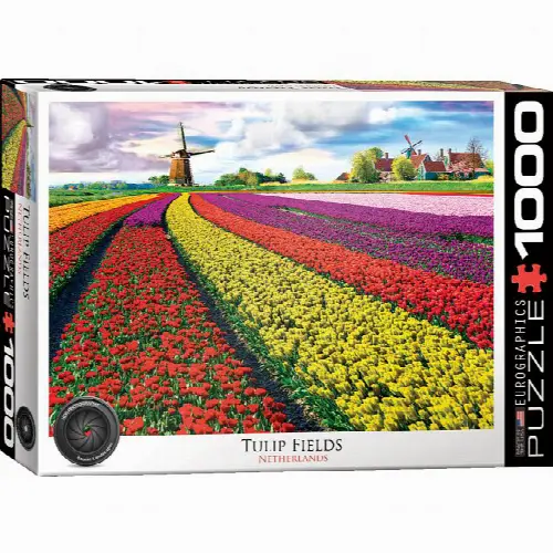 Tulip Fields | Jigsaw - Image 1