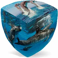 V-CUBE 2 Pillow (2x2x2): Dolphin Cube