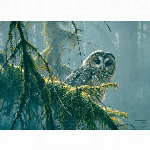 Mossy Branches : Spotted Owl - Large Piece | Jigsaw - Image 1