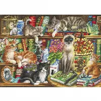 Puss in Books | Jigsaw