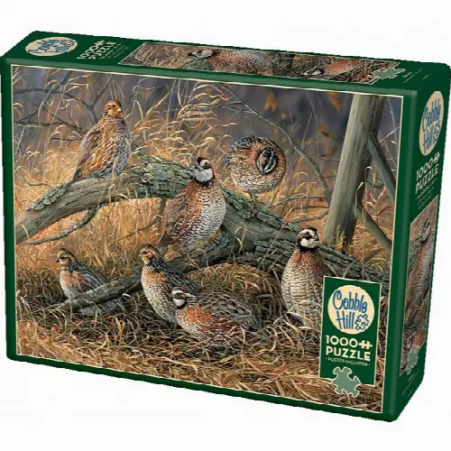 Quail | Jigsaw - Image 1