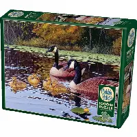 Platts Pond | Jigsaw