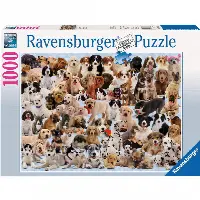 Dogs Galore! | Jigsaw