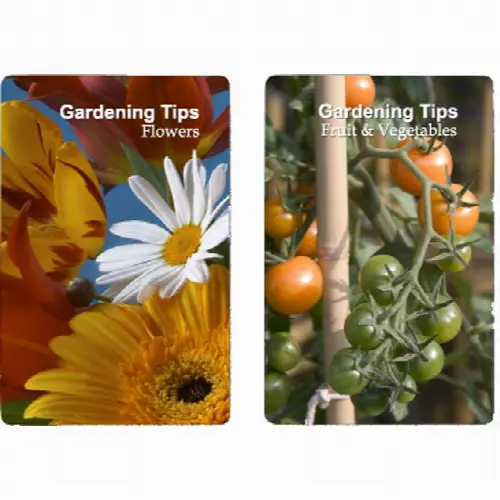 Playing Cards - Gardening Tips - Image 1