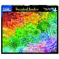 Succulent Rainbow | Jigsaw
