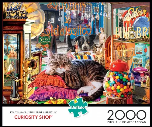 Buffalo Games - Curiosity Shop - 2000 Piece Jigsaw Puzzle - Image 1