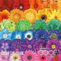 Buffalo Games - Color Explosion - Flower Spectrum - 300 Piece Jigsaw Puzzle