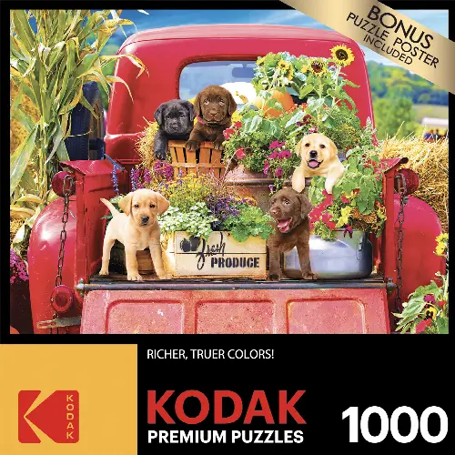 Kodak 1000 Piece Jigsaw Puzzle - Stowaways - Image 1