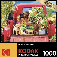Kodak 1000 Piece Jigsaw Puzzle - Stowaways