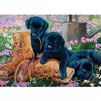 Black Lab Puppies - Tray Puzzle | Jigsaw